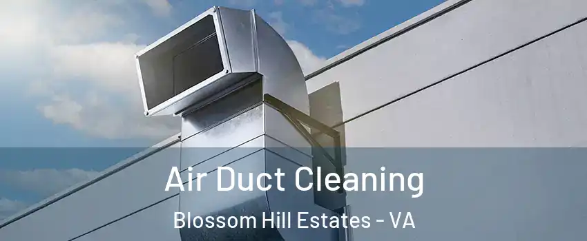 Air Duct Cleaning Blossom Hill Estates - VA