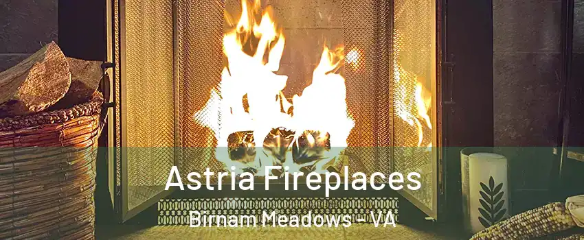 Astria Fireplaces Birnam Meadows - VA