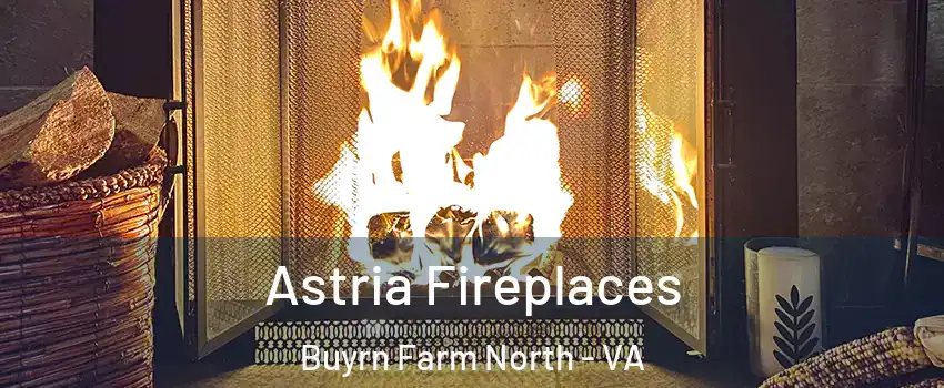 Astria Fireplaces Buyrn Farm North - VA