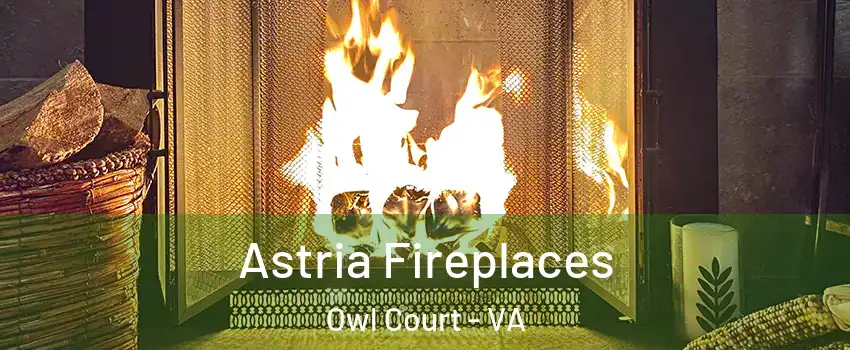 Astria Fireplaces Owl Court - VA