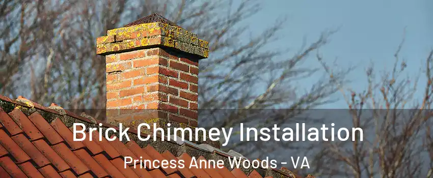 Brick Chimney Installation Princess Anne Woods - VA