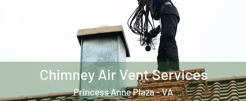 Chimney Air Vent Services Princess Anne Plaza - VA