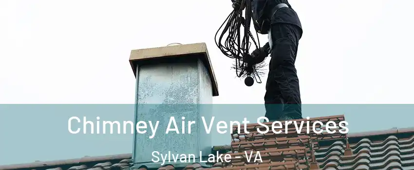 Chimney Air Vent Services Sylvan Lake - VA