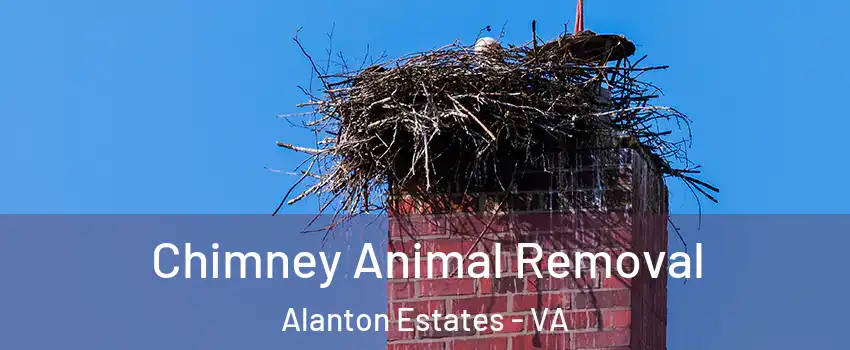 Chimney Animal Removal Alanton Estates - VA