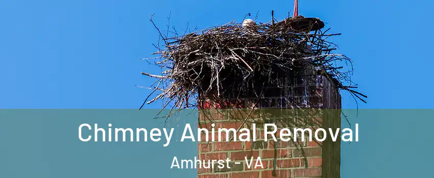 Chimney Animal Removal Amhurst - VA