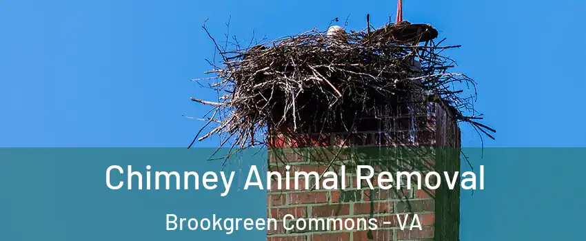 Chimney Animal Removal Brookgreen Commons - VA