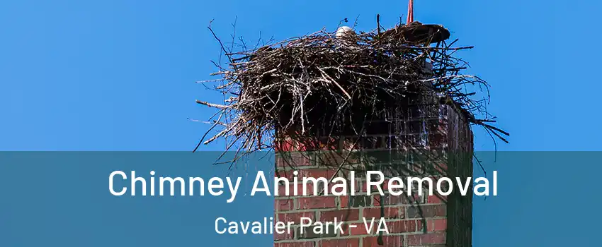 Chimney Animal Removal Cavalier Park - VA