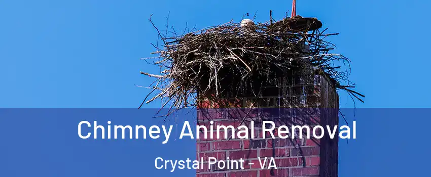 Chimney Animal Removal Crystal Point - VA