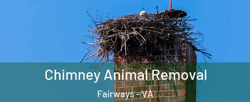 Chimney Animal Removal Fairways - VA