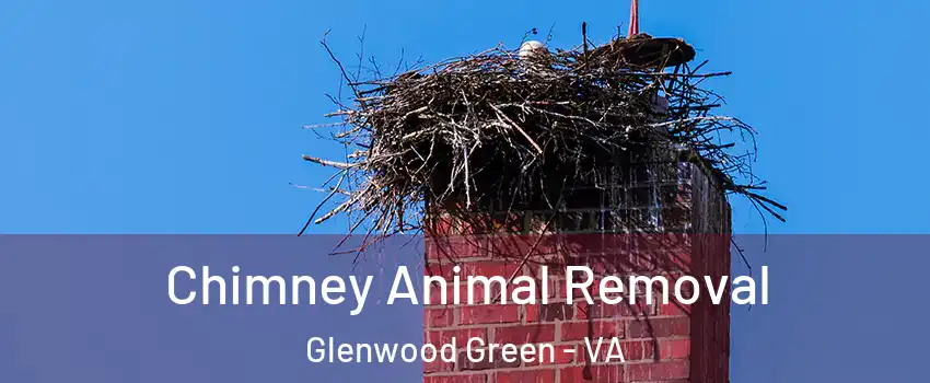 Chimney Animal Removal Glenwood Green - VA