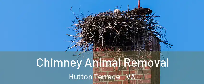 Chimney Animal Removal Hutton Terrace - VA