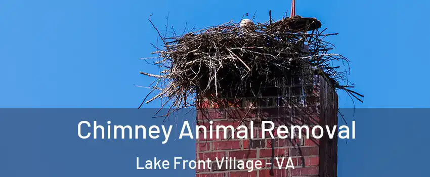 Chimney Animal Removal Lake Front Village - VA