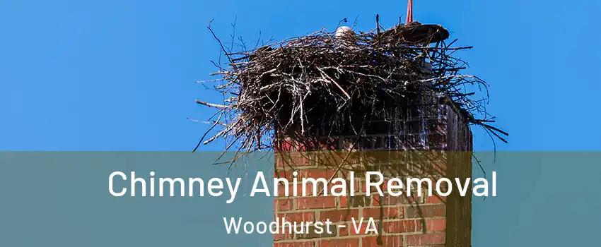 Chimney Animal Removal Woodhurst - VA