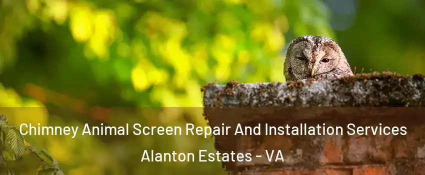 Chimney Animal Screen Repair And Installation Services Alanton Estates - VA