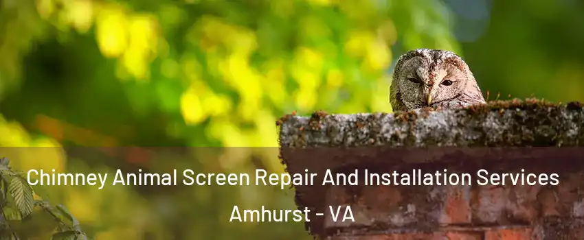 Chimney Animal Screen Repair And Installation Services Amhurst - VA