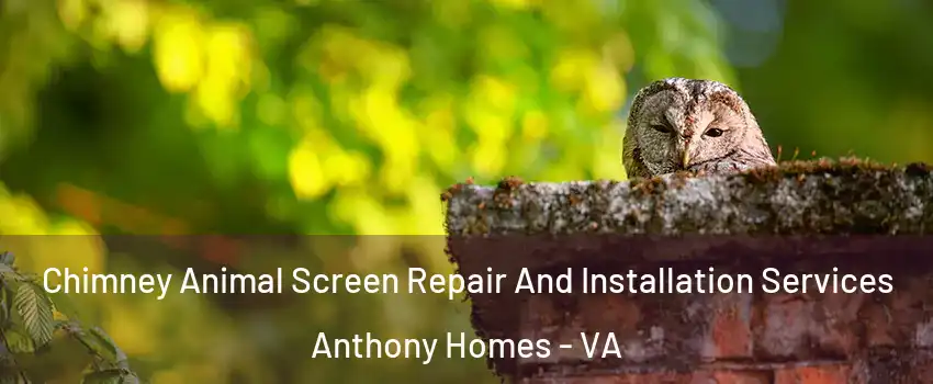 Chimney Animal Screen Repair And Installation Services Anthony Homes - VA