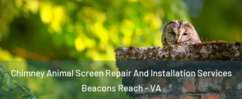 Chimney Animal Screen Repair And Installation Services Beacons Reach - VA