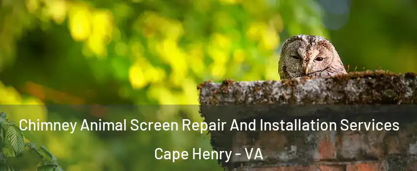 Chimney Animal Screen Repair And Installation Services Cape Henry - VA