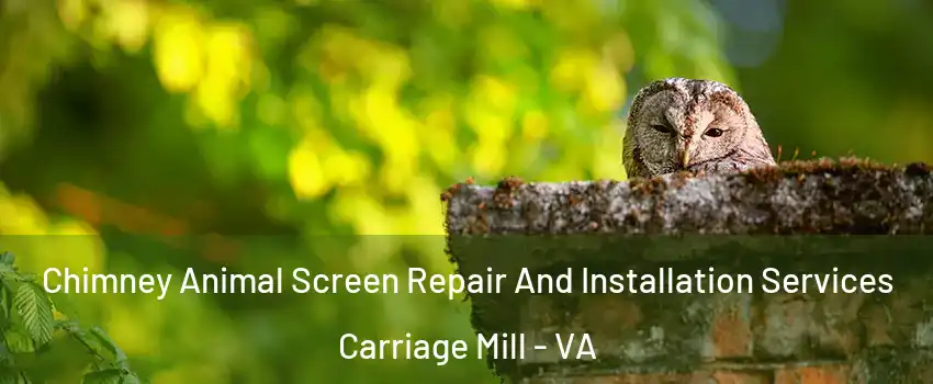 Chimney Animal Screen Repair And Installation Services Carriage Mill - VA