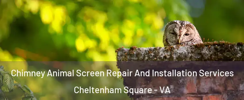 Chimney Animal Screen Repair And Installation Services Cheltenham Square - VA