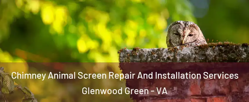 Chimney Animal Screen Repair And Installation Services Glenwood Green - VA