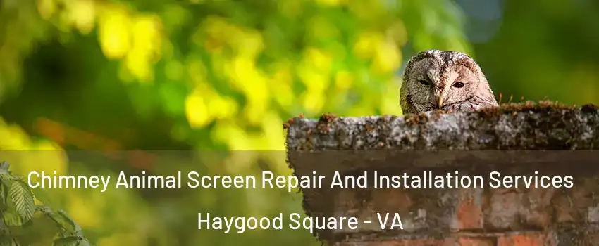 Chimney Animal Screen Repair And Installation Services Haygood Square - VA