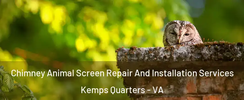 Chimney Animal Screen Repair And Installation Services Kemps Quarters - VA