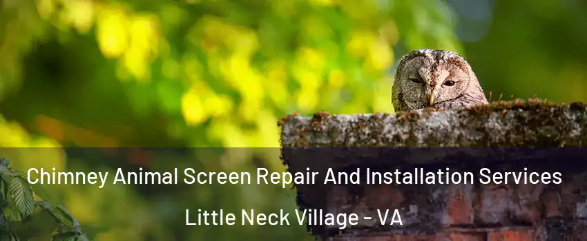 Chimney Animal Screen Repair And Installation Services Little Neck Village - VA