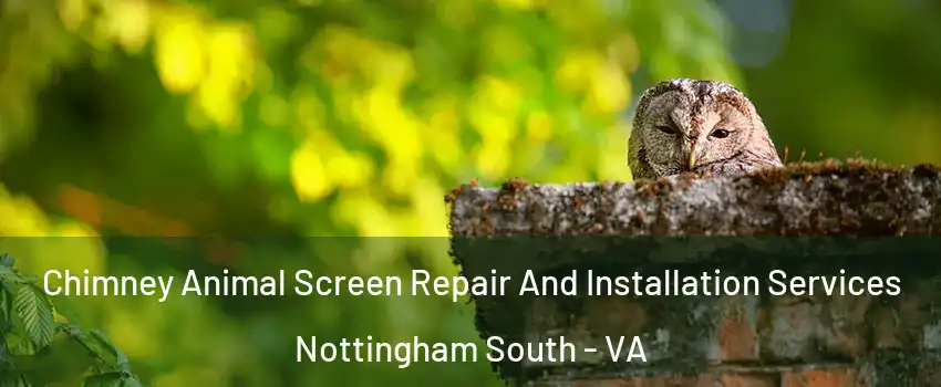 Chimney Animal Screen Repair And Installation Services Nottingham South - VA