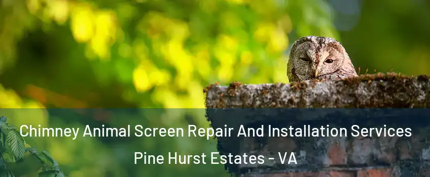 Chimney Animal Screen Repair And Installation Services Pine Hurst Estates - VA