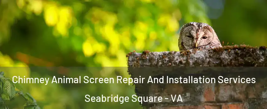 Chimney Animal Screen Repair And Installation Services Seabridge Square - VA