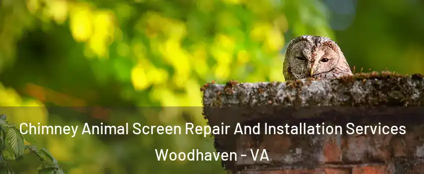 Chimney Animal Screen Repair And Installation Services Woodhaven - VA