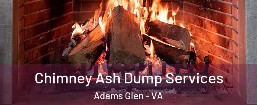 Chimney Ash Dump Services Adams Glen - VA