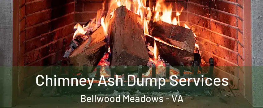 Chimney Ash Dump Services Bellwood Meadows - VA