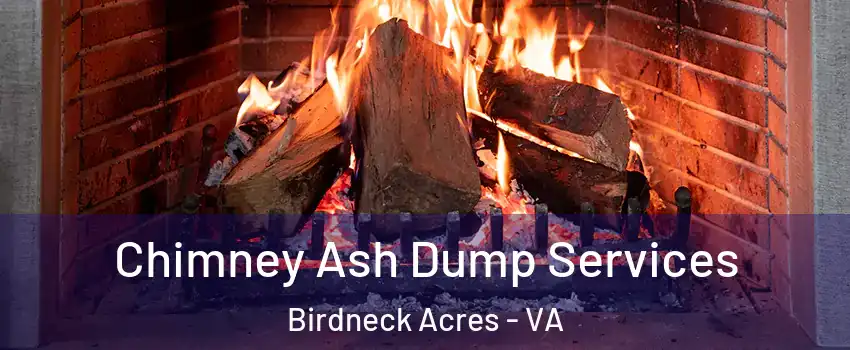 Chimney Ash Dump Services Birdneck Acres - VA