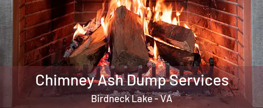 Chimney Ash Dump Services Birdneck Lake - VA