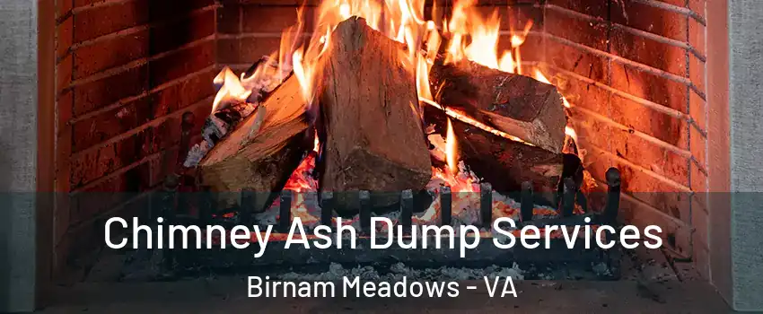 Chimney Ash Dump Services Birnam Meadows - VA