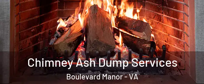 Chimney Ash Dump Services Boulevard Manor - VA