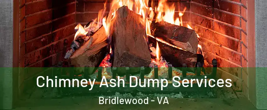 Chimney Ash Dump Services Bridlewood - VA