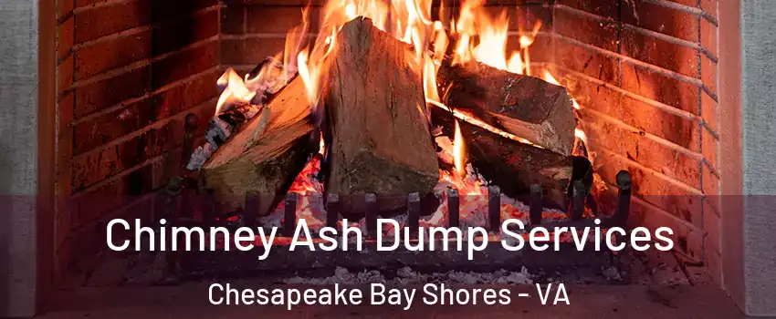 Chimney Ash Dump Services Chesapeake Bay Shores - VA