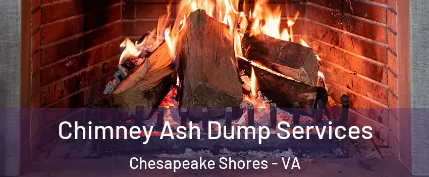 Chimney Ash Dump Services Chesapeake Shores - VA