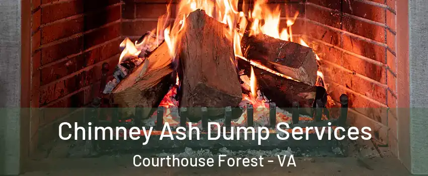 Chimney Ash Dump Services Courthouse Forest - VA