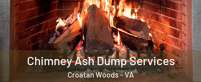 Chimney Ash Dump Services Croatan Woods - VA