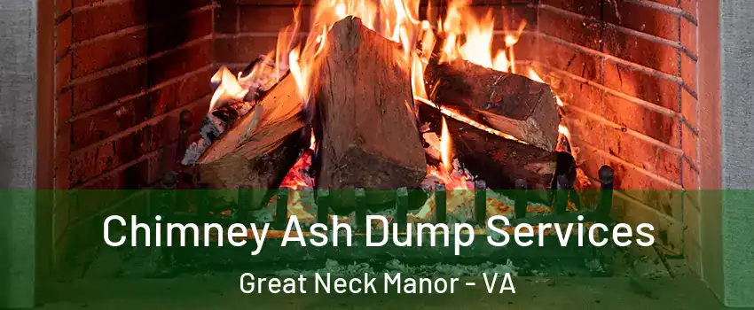 Chimney Ash Dump Services Great Neck Manor - VA