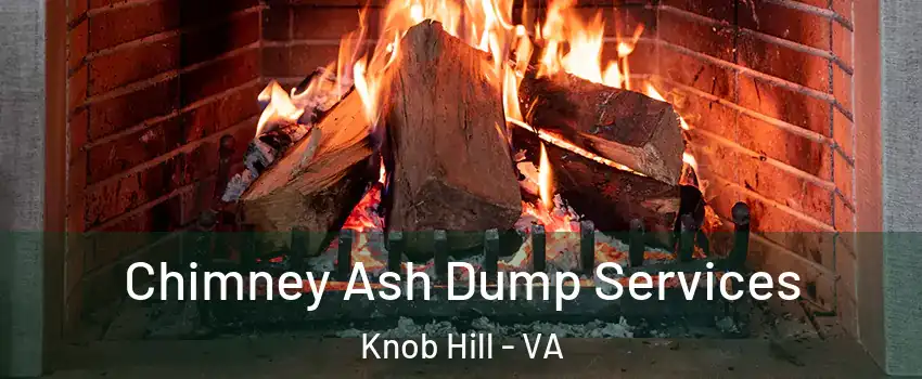 Chimney Ash Dump Services Knob Hill - VA