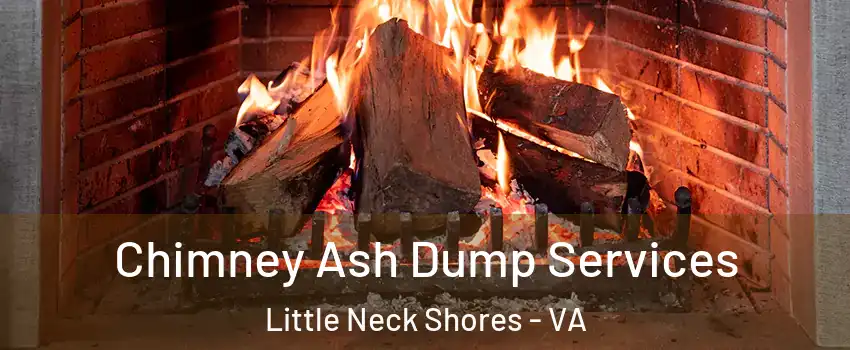 Chimney Ash Dump Services Little Neck Shores - VA