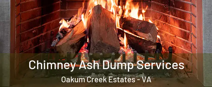 Chimney Ash Dump Services Oakum Creek Estates - VA