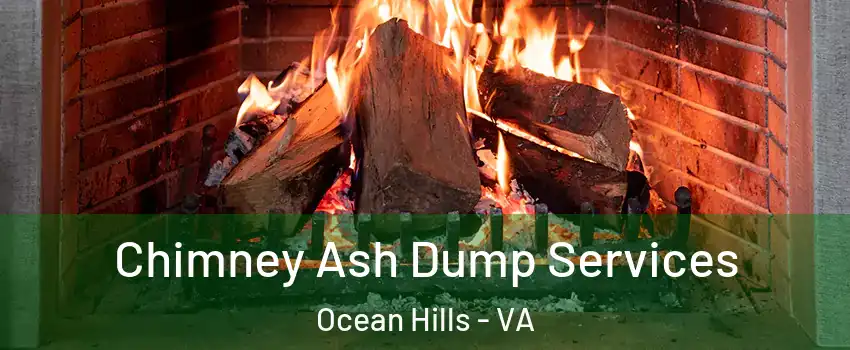 Chimney Ash Dump Services Ocean Hills - VA