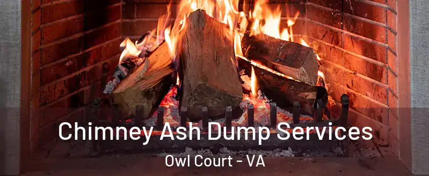 Chimney Ash Dump Services Owl Court - VA