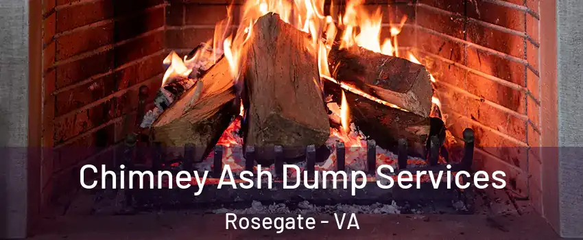 Chimney Ash Dump Services Rosegate - VA